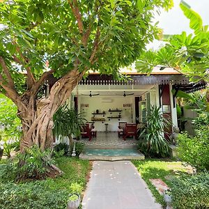 Moringa Tree Maison